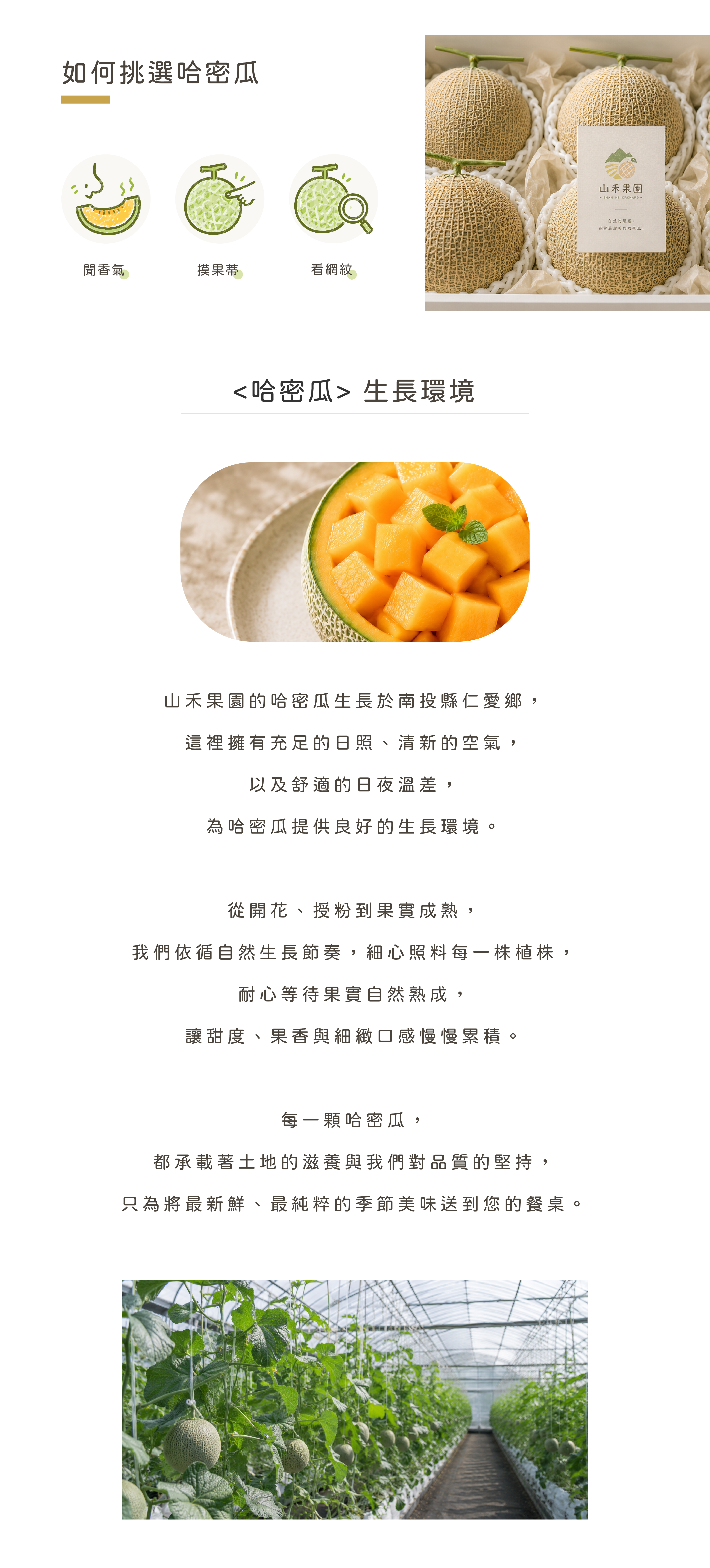 香甜多汁．幸福好滋味
